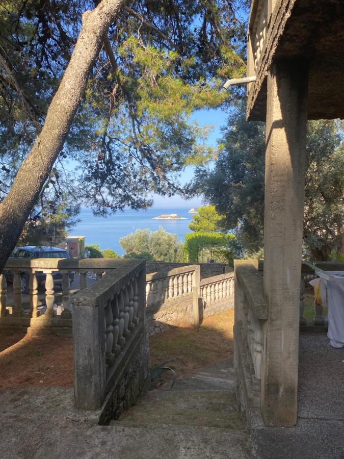 Apartman Novica Χέρτσεγκ Νόβι Εξωτερικό φωτογραφία